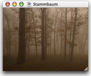 Stammbaum